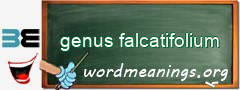 WordMeaning blackboard for genus falcatifolium